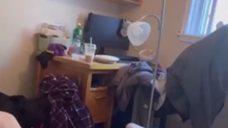 lunanrockyy “please daddy, please cum down my throat”